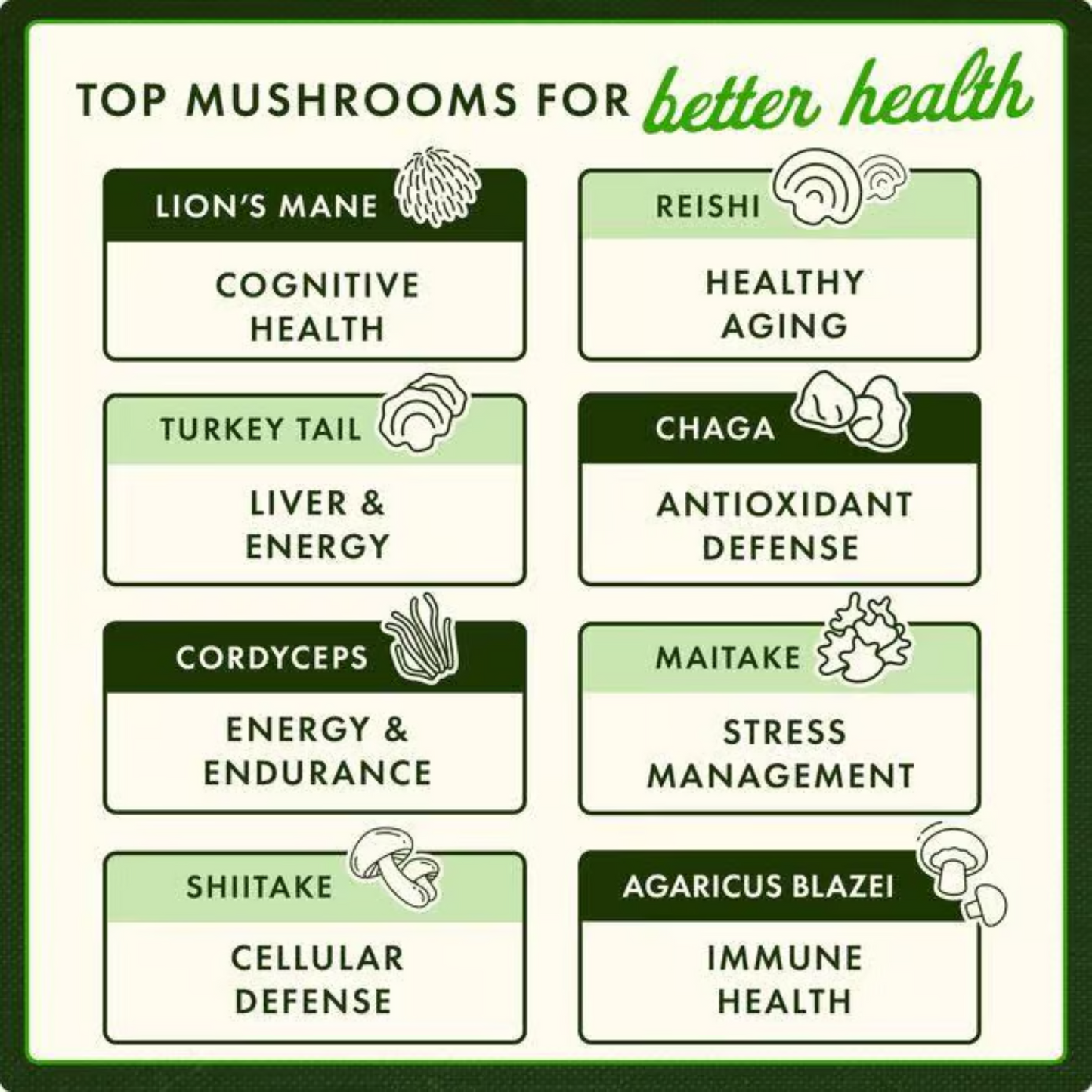 Swanson Full Spectrum Chaga Mushroom 400 mg 60 Capsulas
