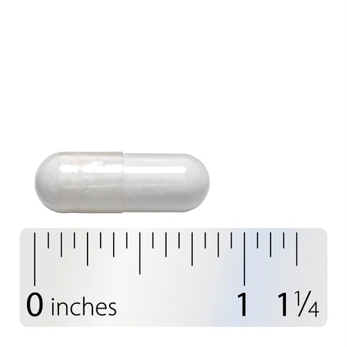 Lactose Defense Digestive Enzymes Nature's Way 100 capsulas