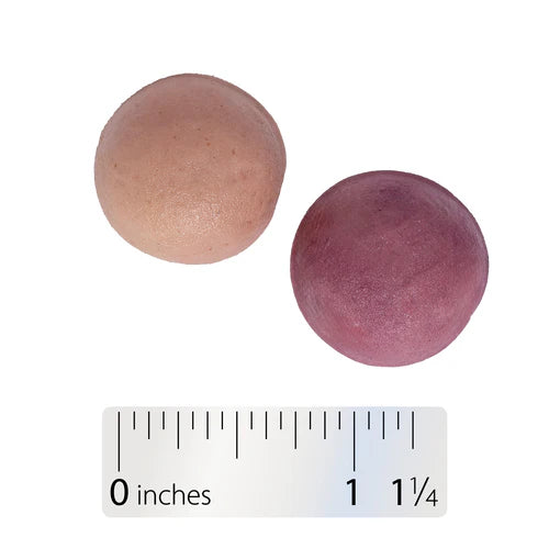 Alive! Calcium + D3 60 Gummy Nature's Way