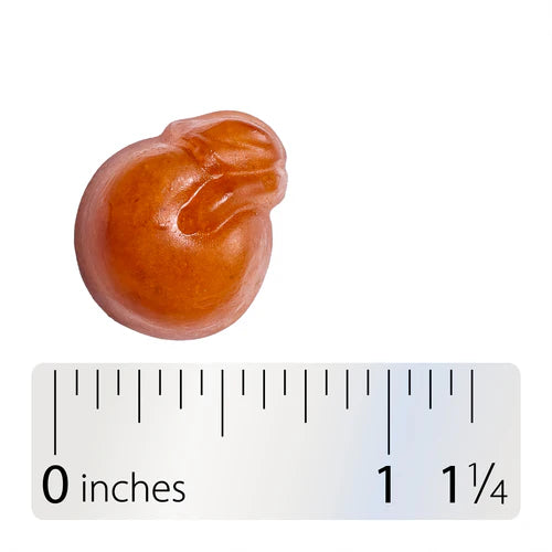 Alive Men's 50 Gummy Multivitaminico Nature's Way