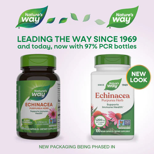 Echinacea Nature's Way 100 capsulas