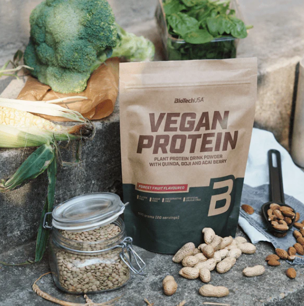 Vegan Protein BioTech USA 500 gramos 20 servicios