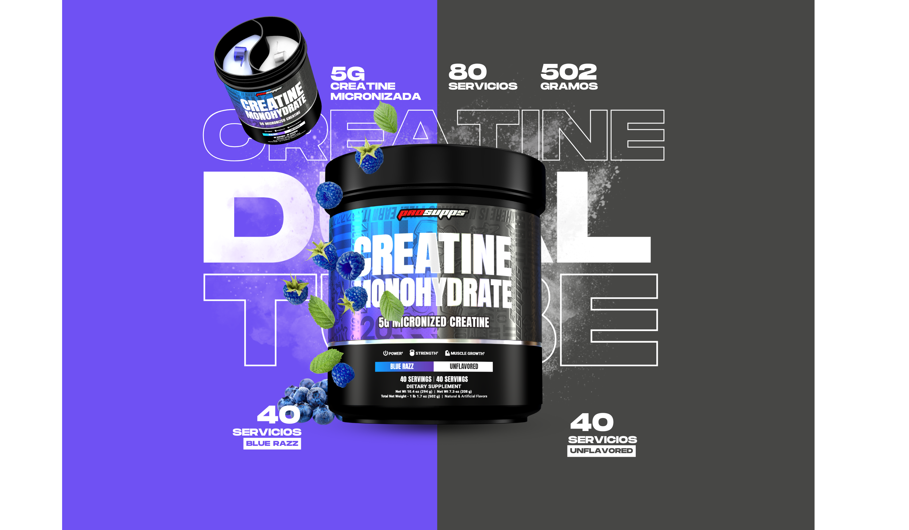 Global Nutrition CL