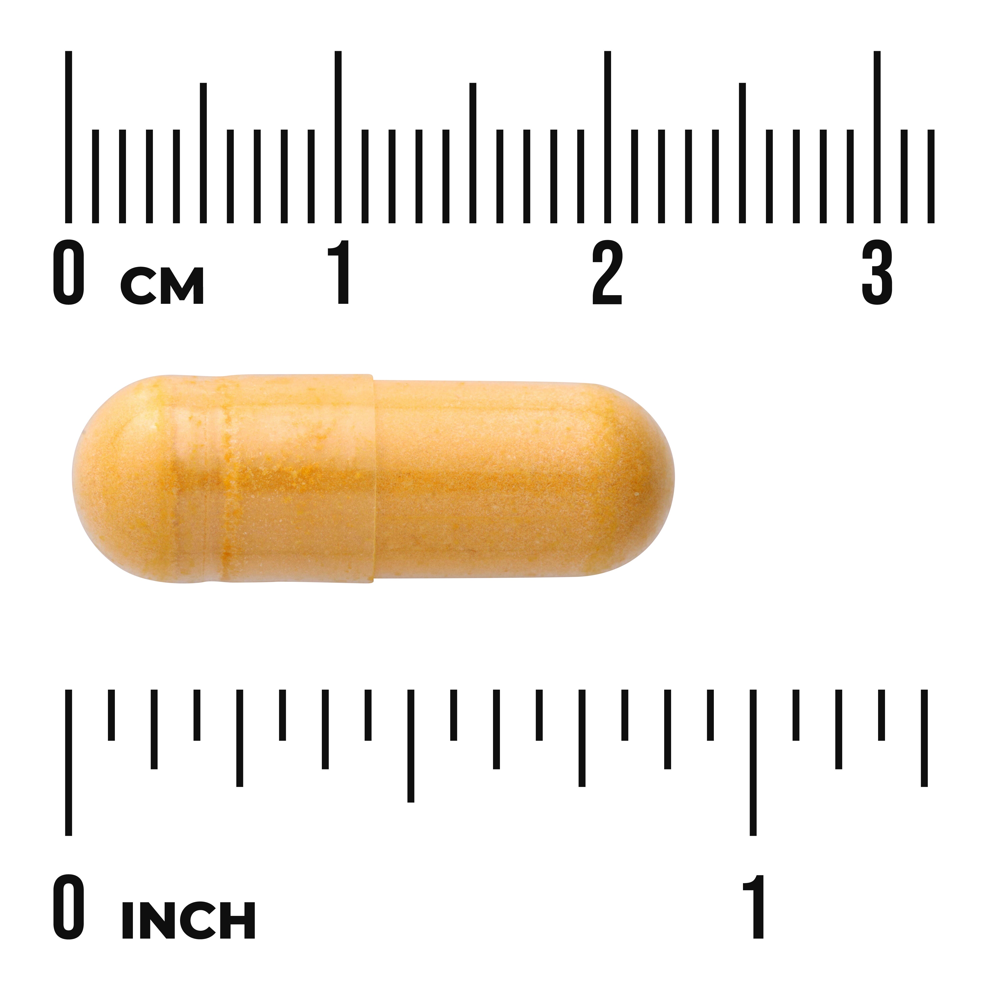 Swanson Balance B-50 Complex 100 Cápsulas | Complejo de Vitaminas B