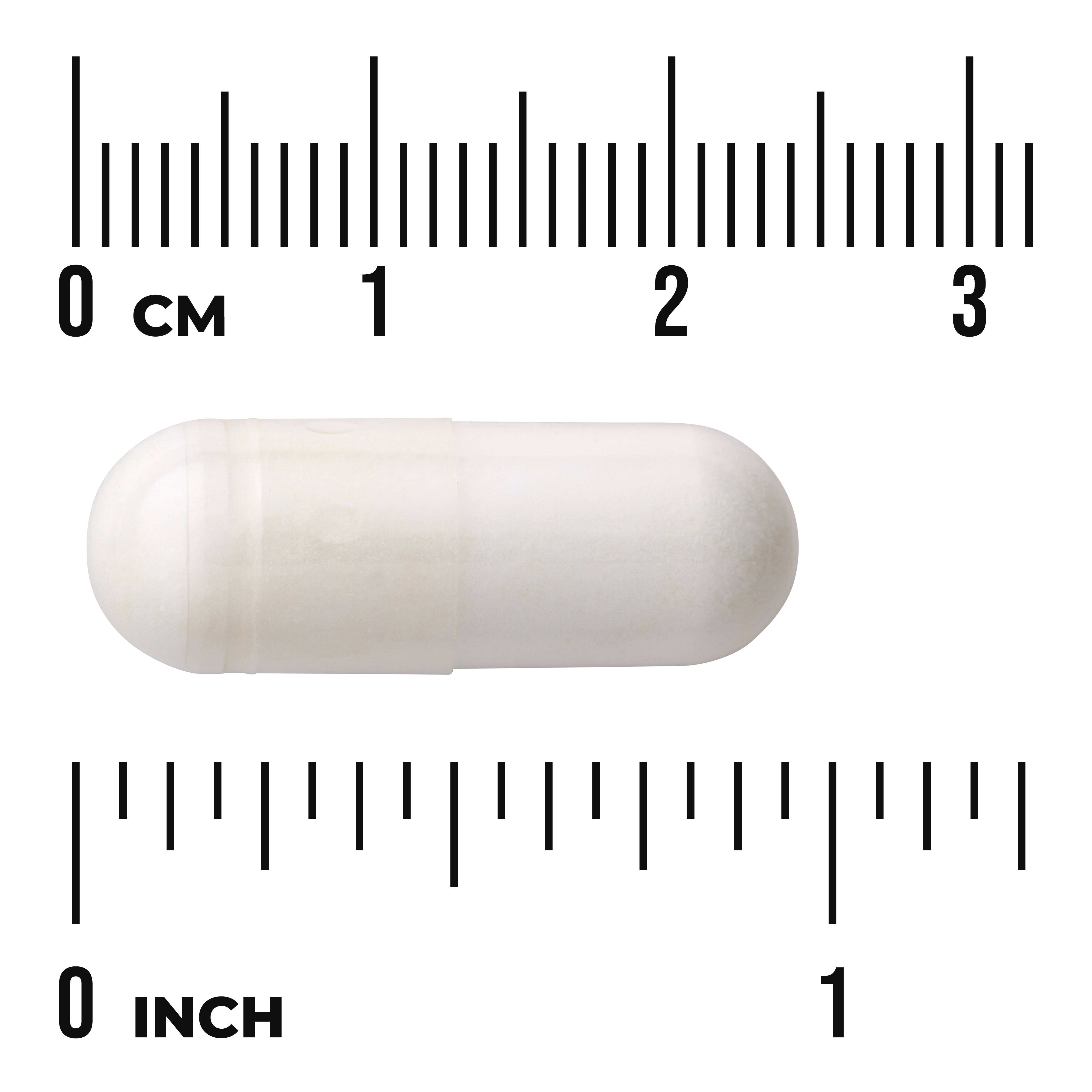 Swanson Pantothenic Acid 500 mg | Ácido Pantoténico (Vitamina B5) – 250 Cápsulas