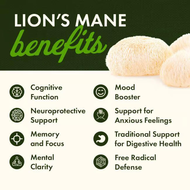Lion´s Mane Mushroom Swanson 500 mg 60 capsulas