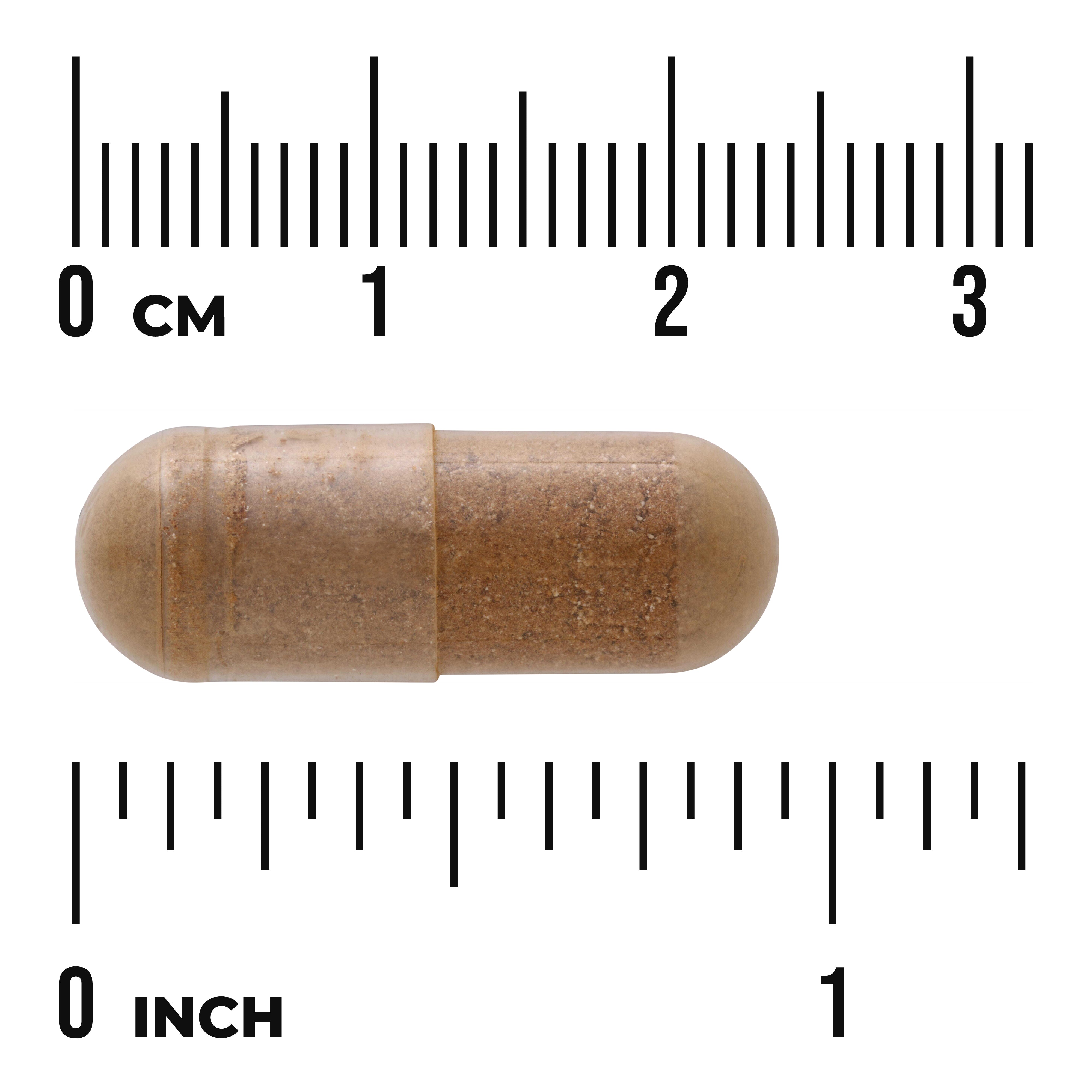 Swanson Full Spectrum Dandelion Root 515mg 60 Cápsulas | Raíz de Diente de León