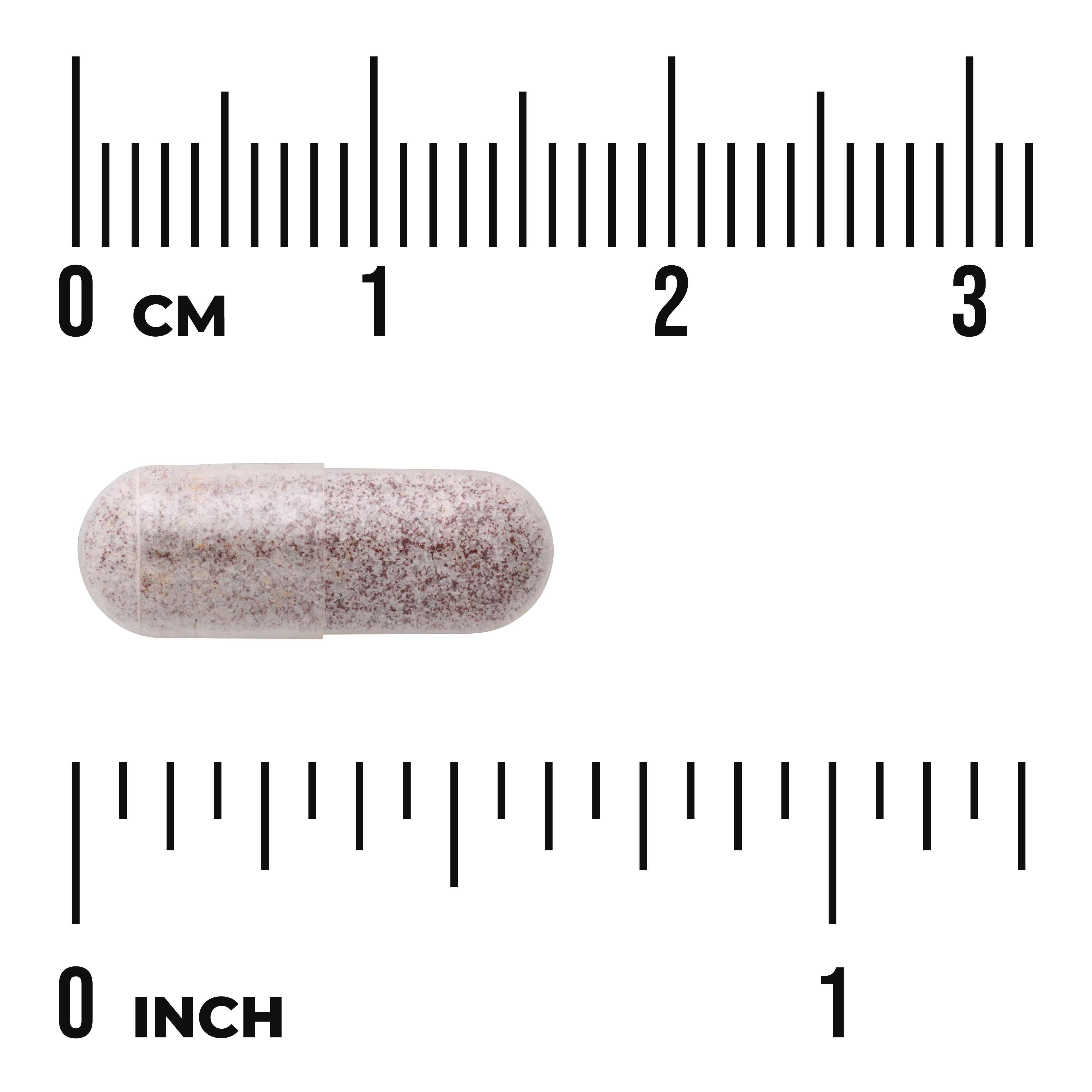 Swanson Iron Ferrous Fumarate 18 mg | Fumarato Ferroso – 60 Cápsulas