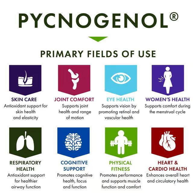 Swanson Pycnogenol 50 mg | 50 Cápsulas · Antioxidante y Salud Cardiovascular