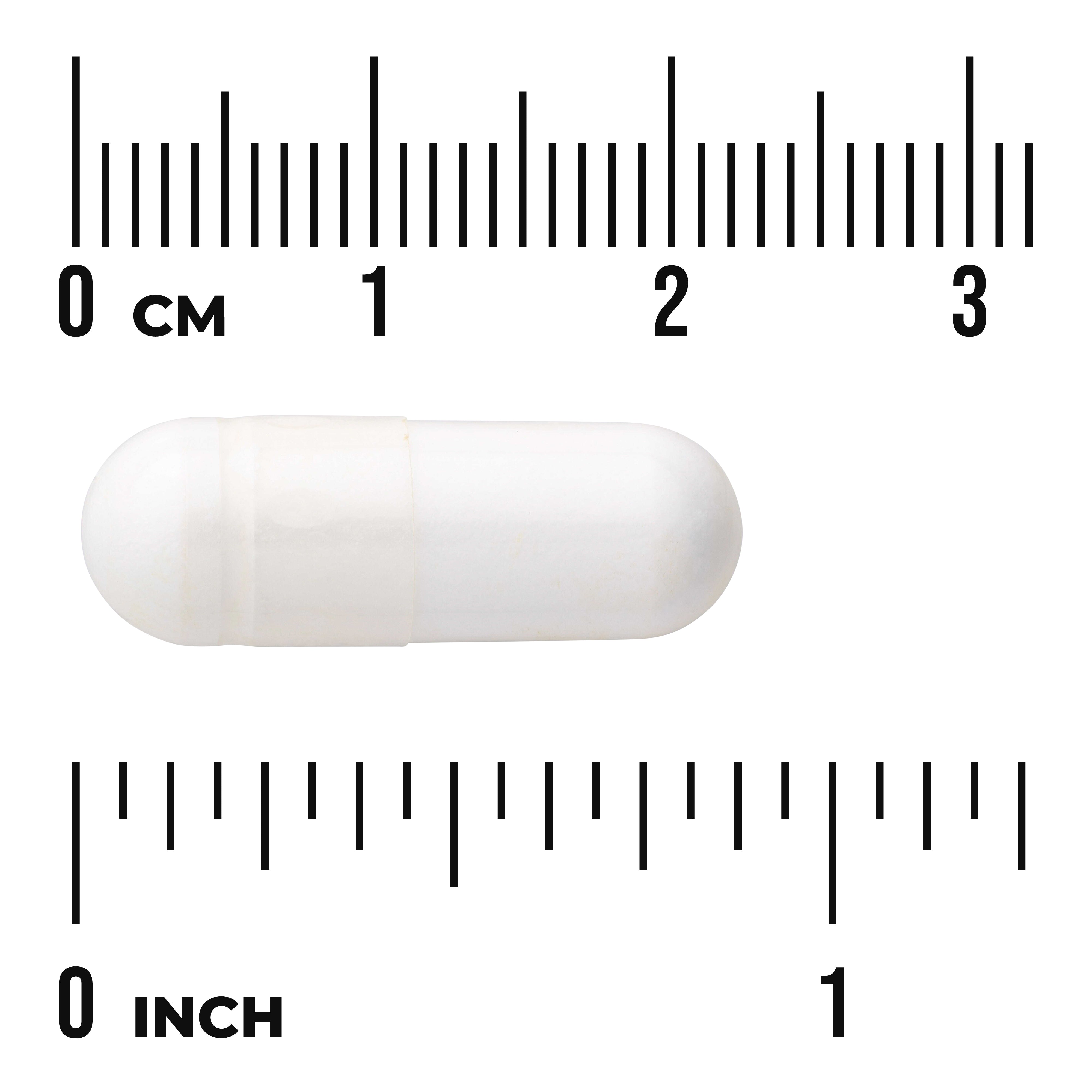 Swanson L-Arginine 500mg | 100 Cápsulas - Síntesis Proteica y Función Cardiovascular