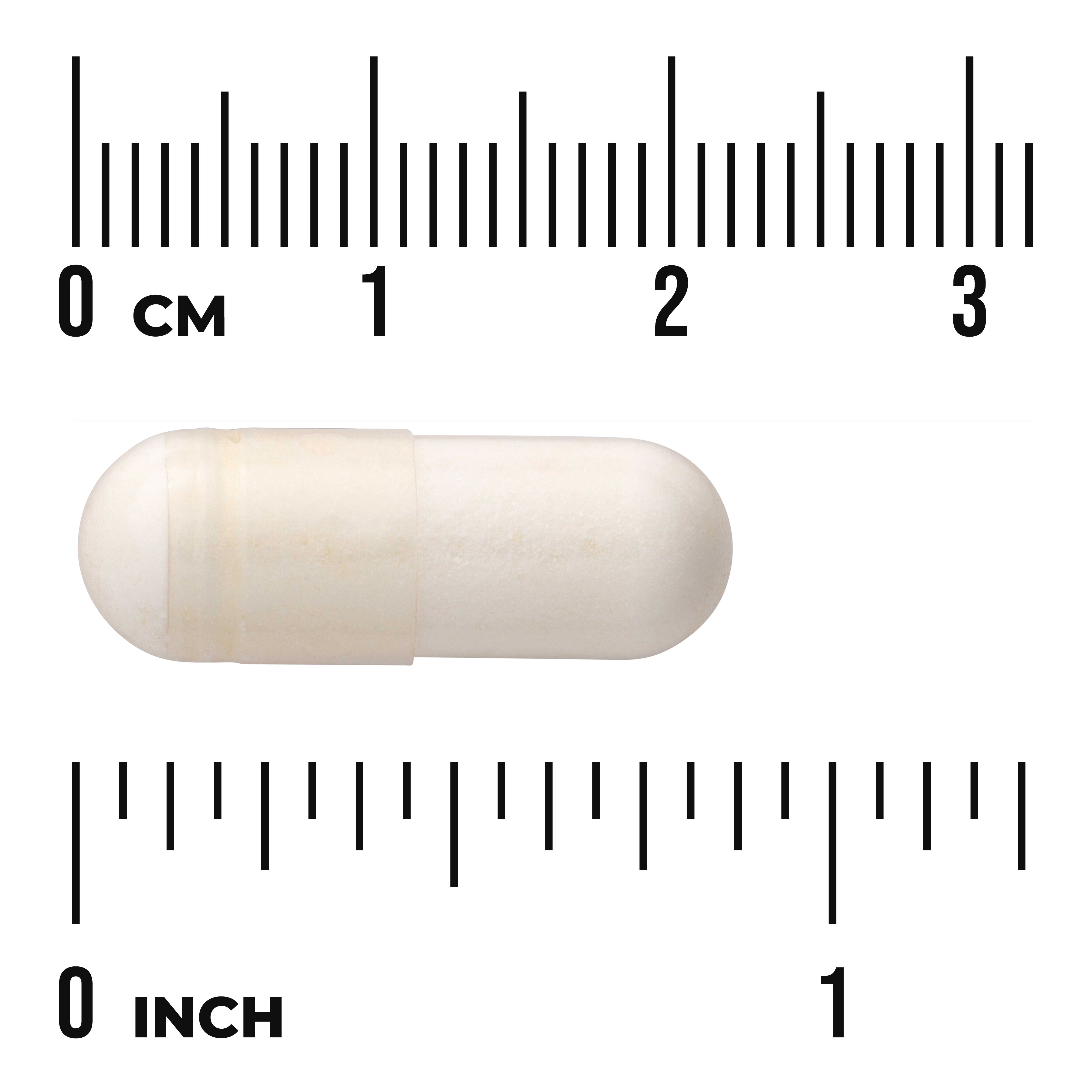 Swanson ProLacto Acidophilus | Probiótico con Acidophilus – 60 Cápsulas