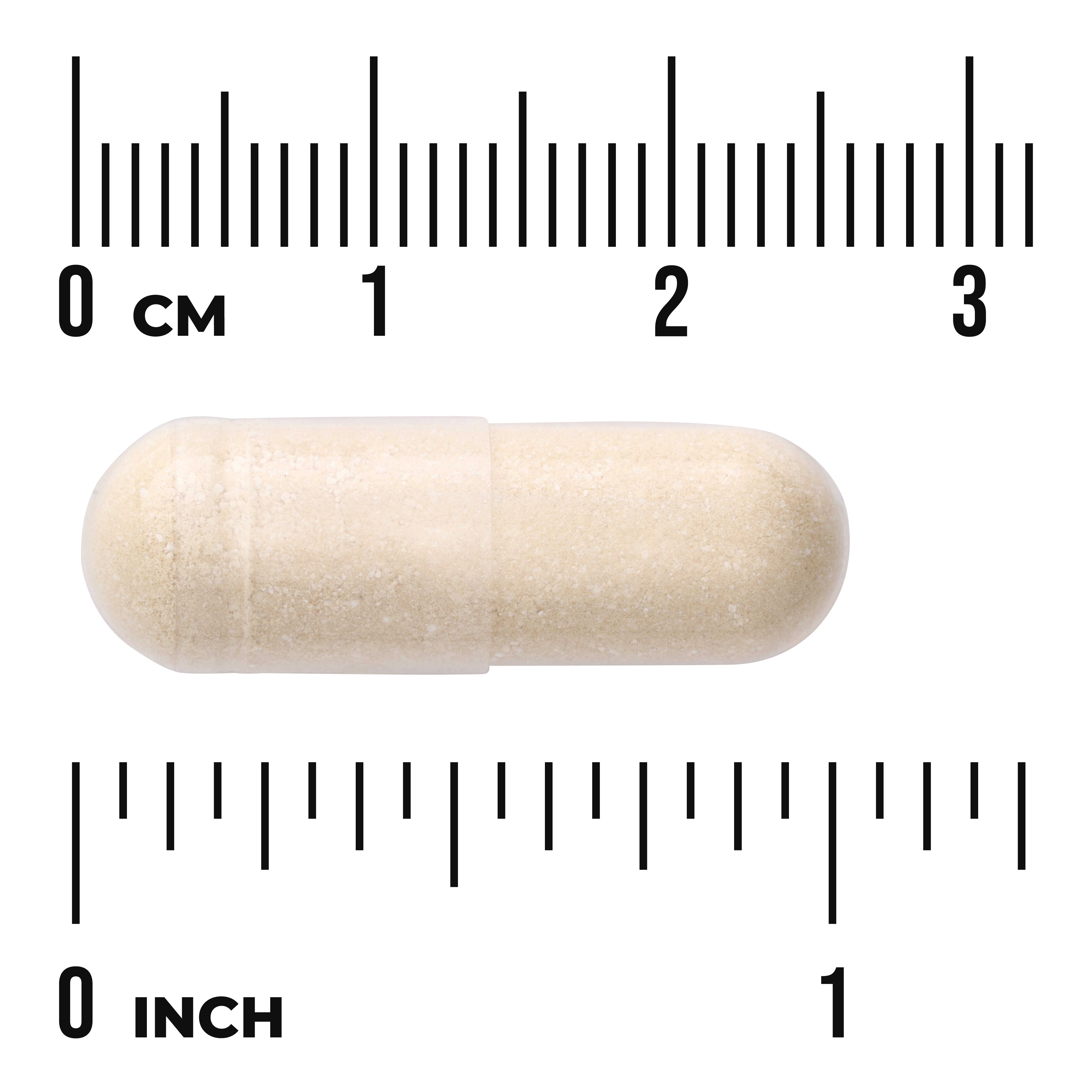 Swanson Saccharomyces Boulardii | Probiótico 30 Cápsulas Veganas