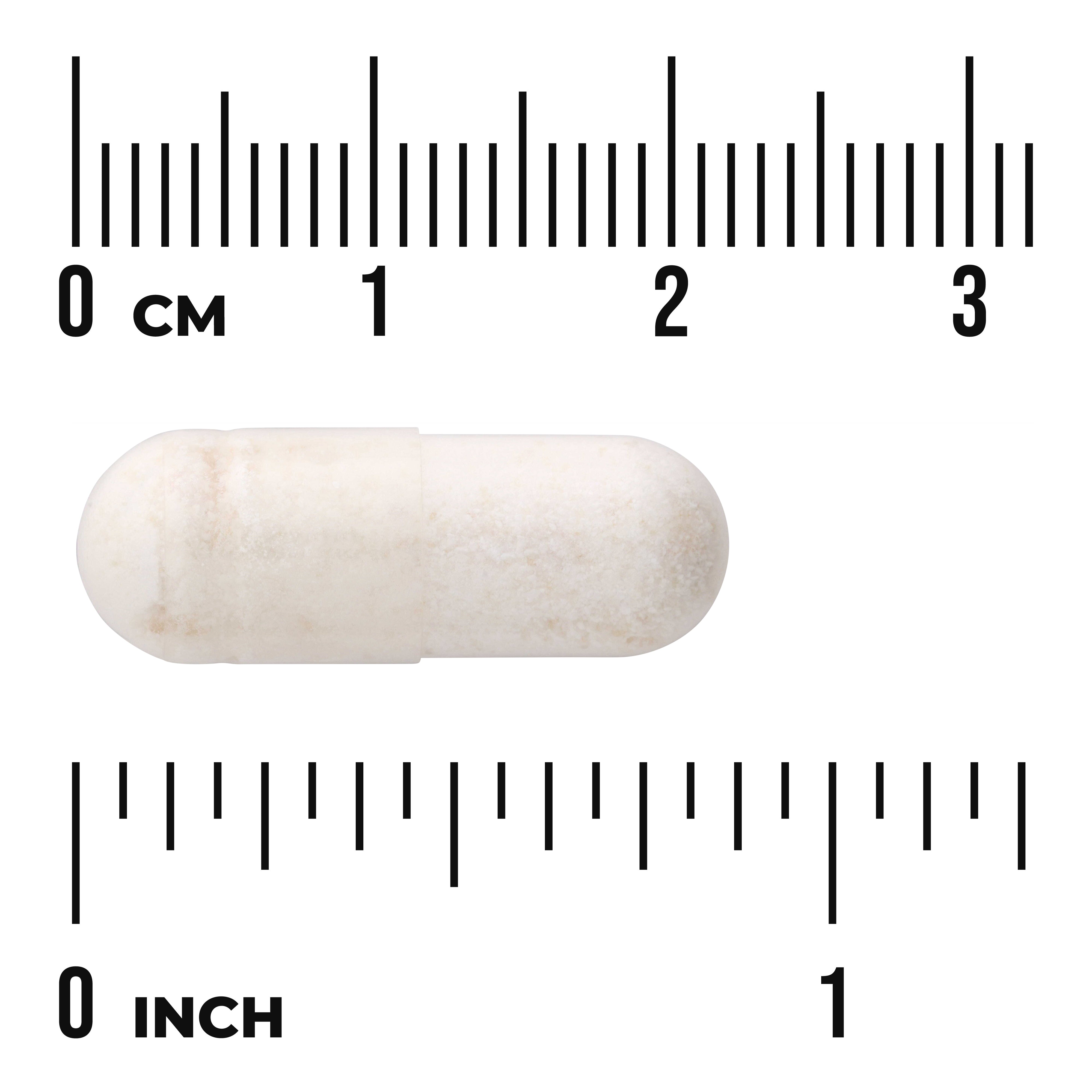 Probiotic with Digestive Enzymes 5 Billion Cfu 60 Veg Caps