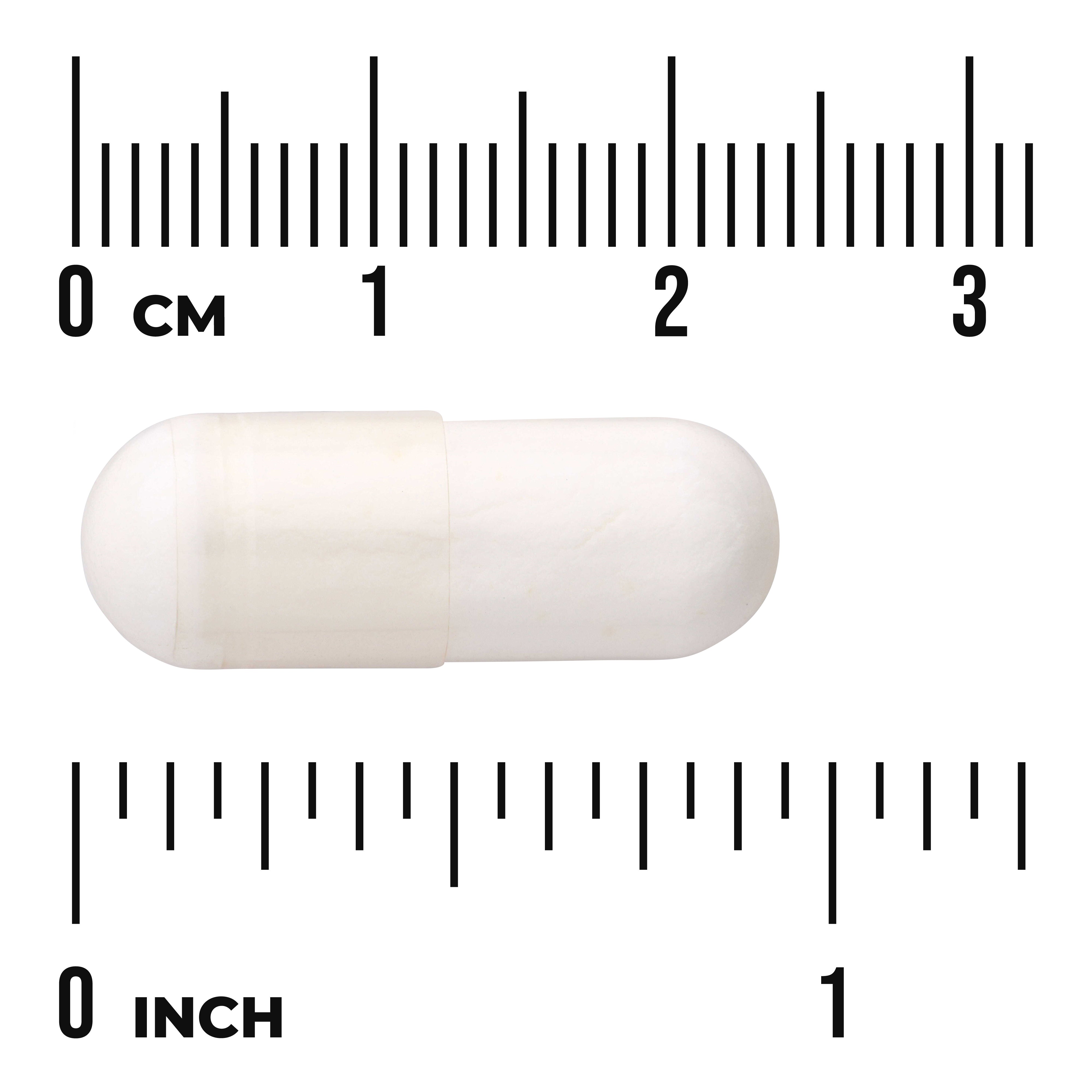 Swanson Probiotic + Prebiotic Fiber 1 Billion CFU 60 Cápsulas | Probióticos y Fibra Prebiótica