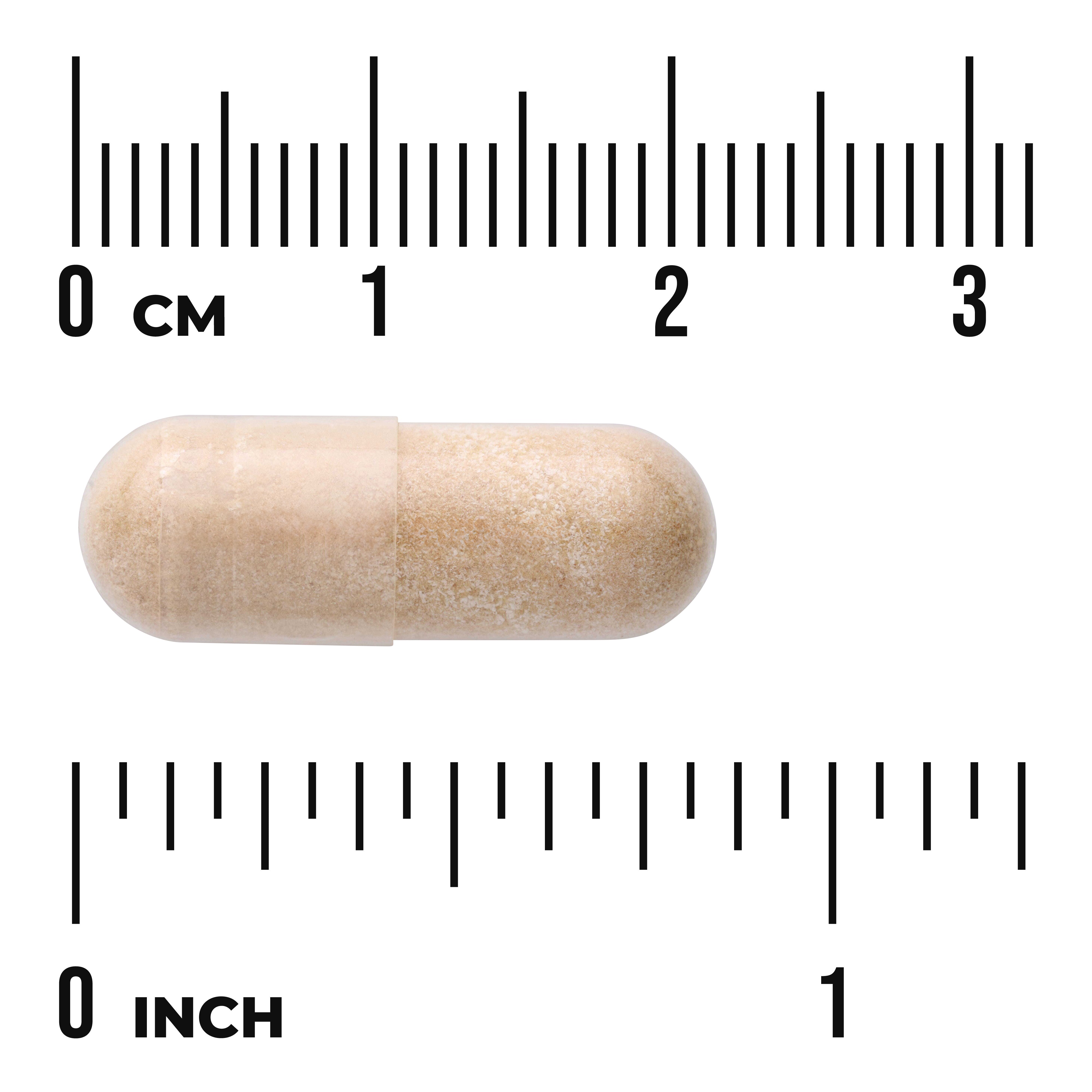 Swanson Horse Chestnut Extract 250mg 120 Cápsulas | Extracto de Castaño de Indias