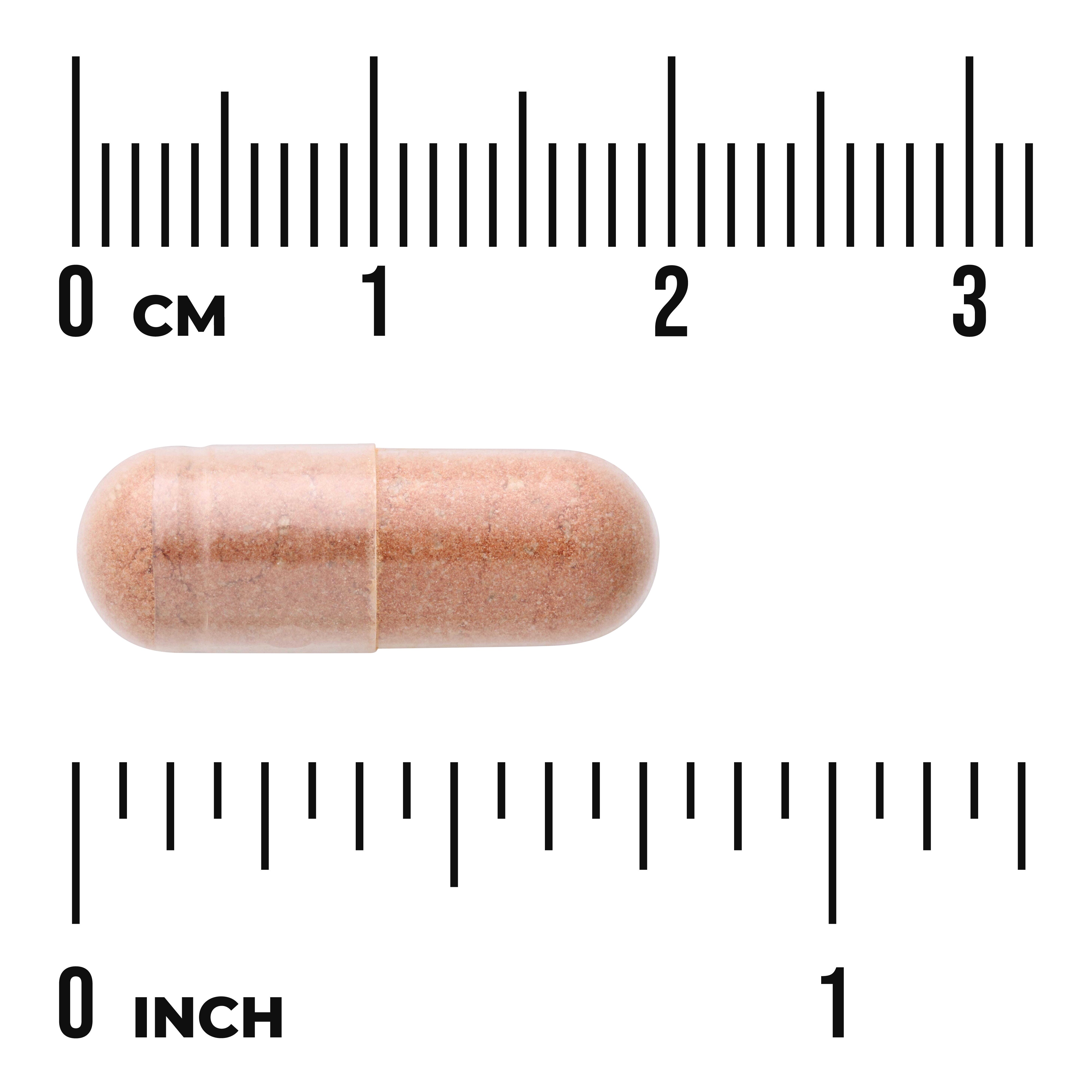 Swanson Ultra Pycnogenol® 100 mg | Extracto de Corteza de Pino Marítimo – 30 Cápsulas